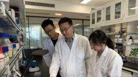 發(fā)現新蛋白！我省一研究成果首次入選“中國高等學(xué)校...