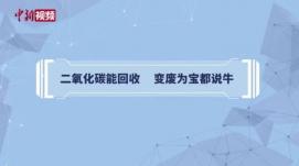 變廢為寶新路徑！ 中國科學(xué)家實(shí)現二氧化碳合成葡萄...