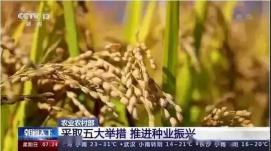 我國將深入實(shí)施種業(yè)基地提升行動(dòng)