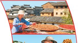 端穩中國飯碗：全國大部分地區秋糧長(cháng)勢較好