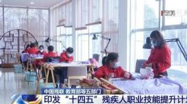 七部門(mén)聯(lián)合推動(dòng)殘疾人中等職業(yè)教育高質(zhì)量發(fā)展