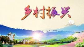 破解青年人才匱乏困境 高質(zhì)量推進(jìn)鄉村振興